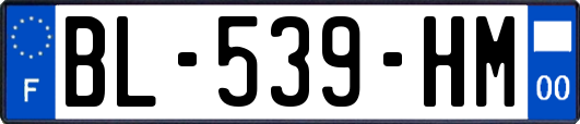 BL-539-HM