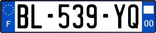 BL-539-YQ