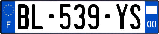 BL-539-YS