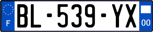 BL-539-YX