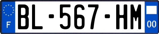 BL-567-HM