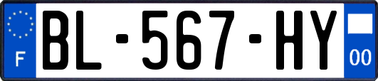 BL-567-HY
