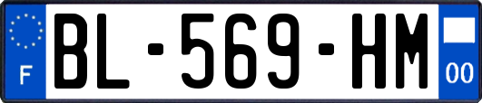 BL-569-HM