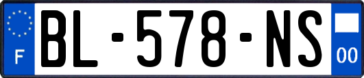 BL-578-NS