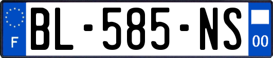 BL-585-NS