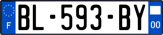 BL-593-BY