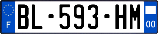 BL-593-HM