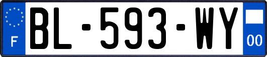 BL-593-WY