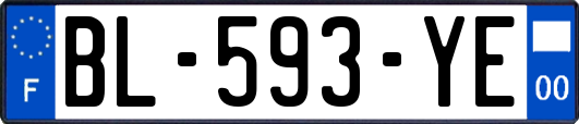 BL-593-YE