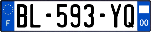 BL-593-YQ