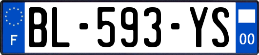 BL-593-YS