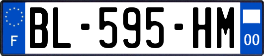 BL-595-HM