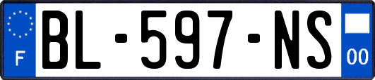 BL-597-NS