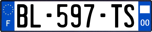BL-597-TS
