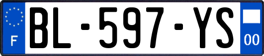 BL-597-YS