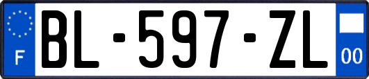 BL-597-ZL