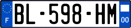 BL-598-HM