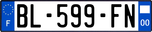 BL-599-FN