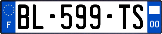 BL-599-TS
