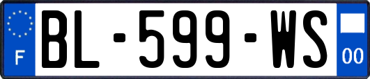 BL-599-WS