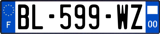 BL-599-WZ