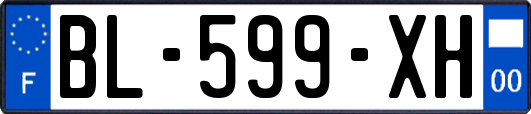 BL-599-XH
