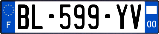 BL-599-YV