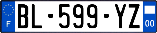 BL-599-YZ