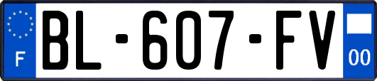 BL-607-FV