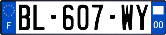 BL-607-WY