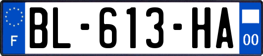 BL-613-HA
