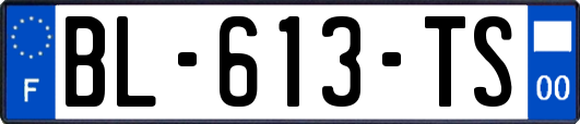 BL-613-TS