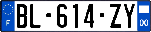 BL-614-ZY