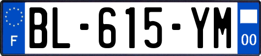 BL-615-YM