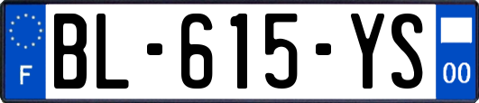 BL-615-YS
