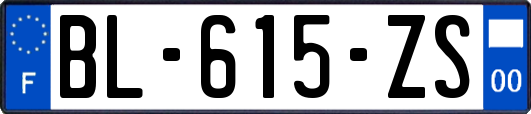 BL-615-ZS