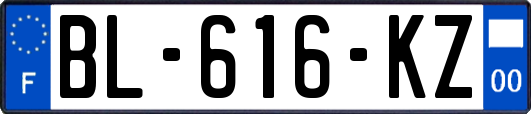 BL-616-KZ