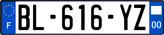 BL-616-YZ