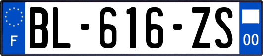 BL-616-ZS
