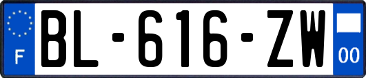 BL-616-ZW