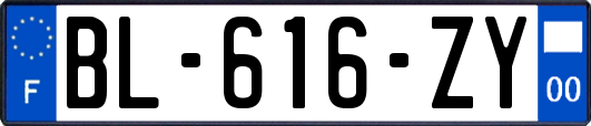 BL-616-ZY