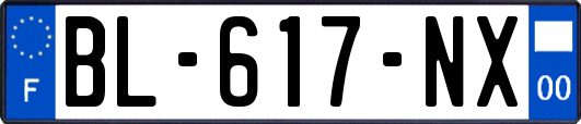 BL-617-NX