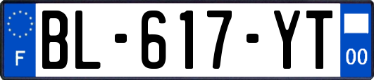 BL-617-YT