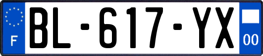 BL-617-YX