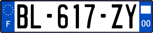 BL-617-ZY