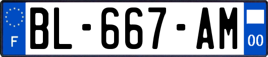 BL-667-AM