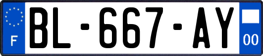 BL-667-AY