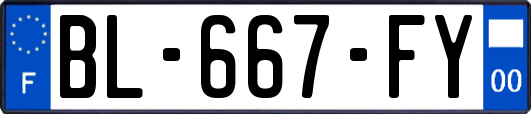 BL-667-FY