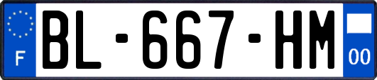 BL-667-HM