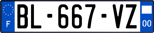 BL-667-VZ